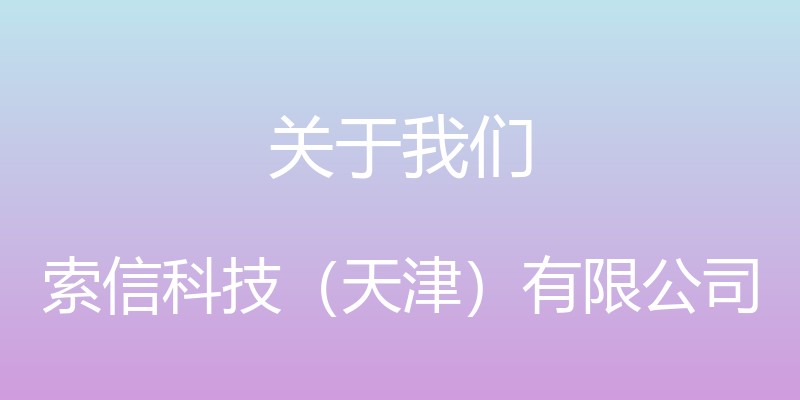 关于我们 - 索信科技（天津）有限公司