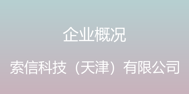 企业概况 - 索信科技（天津）有限公司