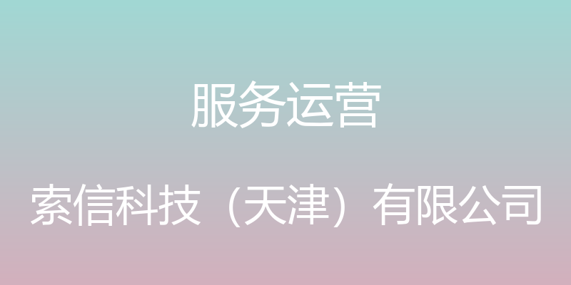 服务运营 - 索信科技（天津）有限公司